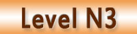 Level N3